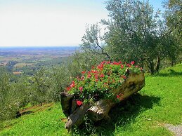 Spacious Cottage in Cortona With Swimming Pool