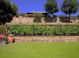 Spacious Cottage in Cortona With Swimming Pool