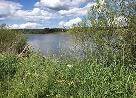 Spacious Holiday Home in Ulmen Near the Centre