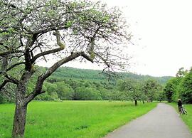 Spacious Holiday Home in Ulmen Near the Centre
