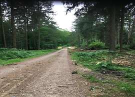 Quaint Bungalow Near Insel Poel With Garden