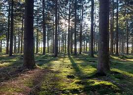 Quaint Bungalow Near Insel Poel With Garden