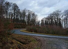 Quaint Bungalow Near Insel Poel With Garden