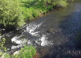 Quaint Bungalow Near Insel Poel With Garden