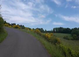 Quaint Bungalow Near Insel Poel With Garden