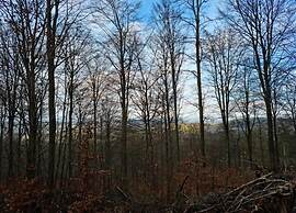 Quaint Bungalow Near Insel Poel With Garden