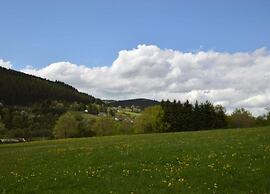 Quaint Bungalow Near Insel Poel With Garden