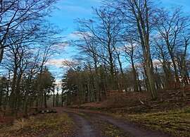 Quaint Bungalow Near Insel Poel With Garden