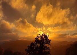 Modern Apartment in Sauerland With Balcony