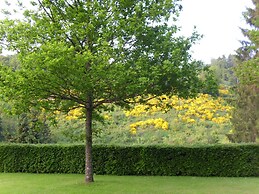 Modern Apartment in Sauerland With Balcony