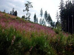 Modern Apartment in Sauerland With Balcony