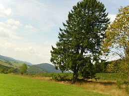 Modern Apartment in Sauerland With Balcony