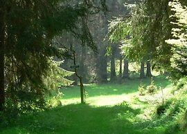 Ferienhaus in Altenfeld Thuringen mit Garten