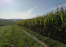 Gorgeous Holiday Home in Altenfeld Thuringia