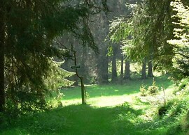Ferienhaus in Altenfeld Thuringen mit Garten
