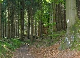 Gorgeous Holiday Home in Altenfeld Thuringia