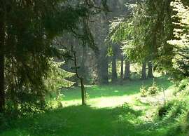 Gorgeous Holiday Home in Altenfeld Thuringia