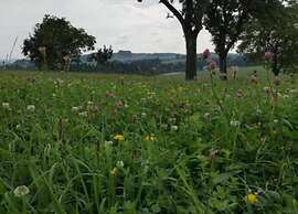 Gorgeous Holiday Home in Altenfeld Thuringia