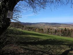 Cozy Apartment in Ruhmannsfelden With Swimming Pool