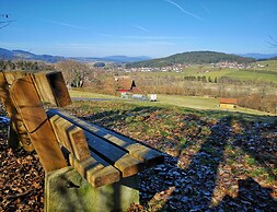Cozy Apartment in Ruhmannsfelden With Swimming Pool