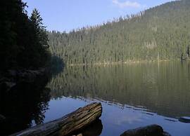 Comfort Apartment With Balcony in the Beautiful Bavarian Forest