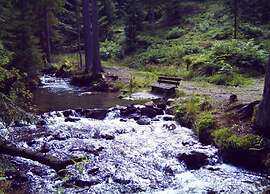 Comfort Apartment With Balcony in the Beautiful Bavarian Forest