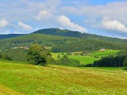 Comfort Apartment With Balcony in the Beautiful Bavarian Forest
