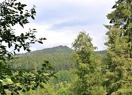 Comfort Apartment With Balcony in the Beautiful Bavarian Forest