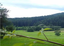 Comfort Apartment With Balcony in the Beautiful Bavarian Forest