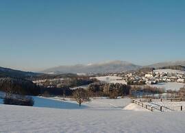 Comfort Apartment With Balcony in the Beautiful Bavarian Forest