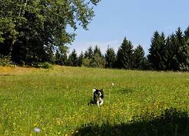 Comfort Apartment With Balcony in the Beautiful Bavarian Forest
