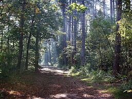 Beautiful Luxurious Villa Situated in Den Burg