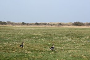 Beautiful Luxurious Villa Situated in Den Burg