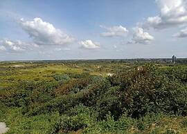 Two Room Apartment Overlooking the Harbor