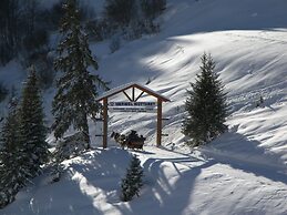 Majestic Apartment in Meribel-mottaret Close to Skiing