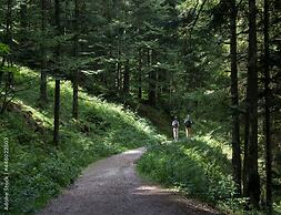 Majestic Apartment in Meribel-mottaret Close to Skiing