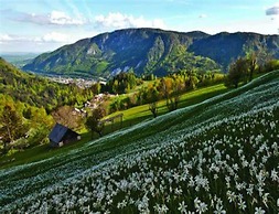 Majestic Apartment in Meribel-mottaret Close to Skiing