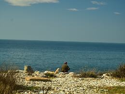 Amazing Holiday Home Near Pet-friendly Beach