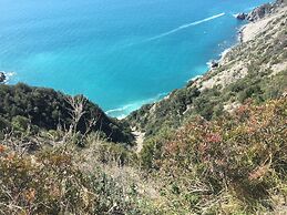 Amazing Holiday Home Near Pet-friendly Beach