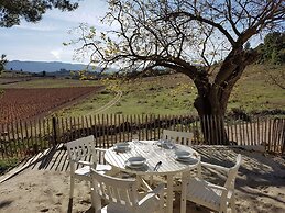 Classy Apartment in Villeseque-des-corbieres With Swimming Pool