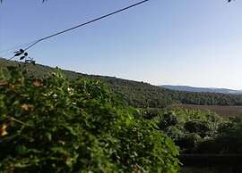 Scenic Apartment in Casole D'elsa With Pool