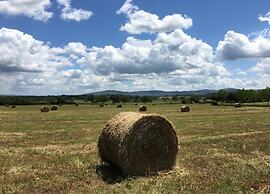 Scenic Apartment in Casole D'elsa With Pool