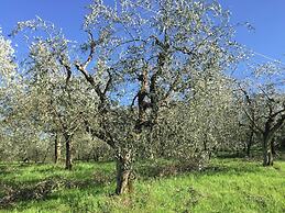 Aesthetic Farmhouse in Bucine With Barbecue
