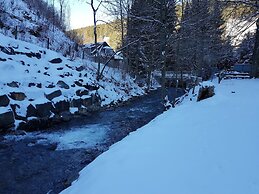 Adorable Aparment in Wildemann With Parking