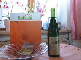 Appealing Apartment in Bad Bayersoien With Balcony