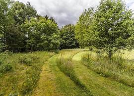 Cosy Holiday Home in Appelscha With Garden