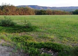 Cozy Apartment in Lichtenhain Germany With Garden