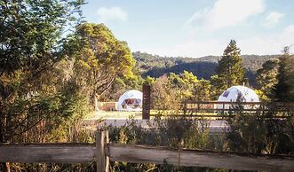Wilder Tasmania