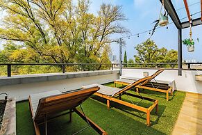 Polanco Penthouses Rooftop 24h Security