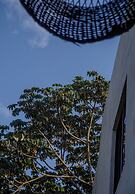 Casa Cactus Buenavista